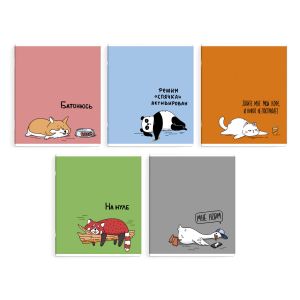 Тетрадь, 48 л, клетка, ГЕРОИ С ХАРАКТЕРОМ