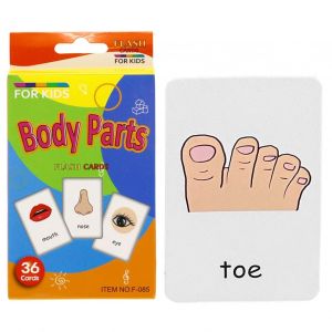 Flash cards Body parts