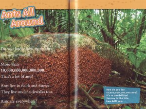 National Geographic Kids. Ants. Level 1.