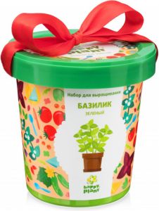 Горшок Базилик зеленый