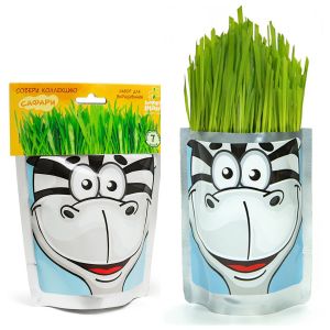 Happy Plant Зебра