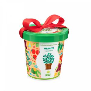 Горшок. Мелисса лимонная