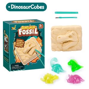 Раскопки Окаменелости динозавров (цветные динозавры) Dinosaur fossil