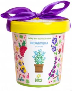 Горшок Незабудка голубая