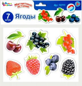 Магниты "Ягоды" Магнитные истории (европодвес) 02710