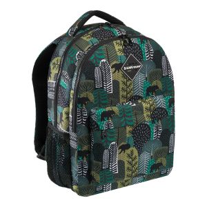 Ученический рюкзак ErichKrause® EasyLine® с двумя отделениями 20L Siberia