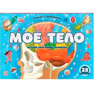 Плакат с окошками. Мое тело