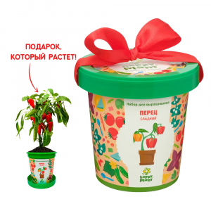 Горшок ПЕРЕЦ СЛАДКИЙ