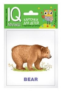 Умный малыш. ENGLISH. Зоопарк  Набор карточек для детей.