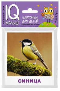 Умный малыш. Птицы. Набор карточек для детей.