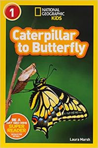 National Geographic Kids. Caterpillar to Butterfly. Level 1.