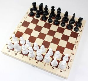 Игра настольная «Шахматы» пластмассовые