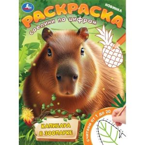 Капибара в зоопарке. Раскраска. Соедини по цифрам. 214х290 мм. Скрепка. 16 стр. Умка в кор.50шт