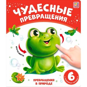 Чудесные превращения.Превращения в природе