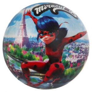 Мяч пвх 23 см Леди Баг и Супер Кот. Летние игры
