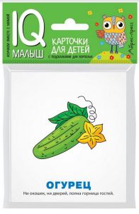 Умный малыш. Загадки. Набор карточек для детей.