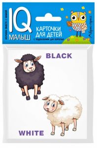 Умный малыш. ENGLISH. Противоположности.