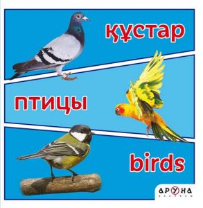 Құстар. Птицы. Birds