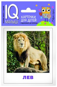 Умный малыш. Животные жарких стран. Набор карточек для детей.