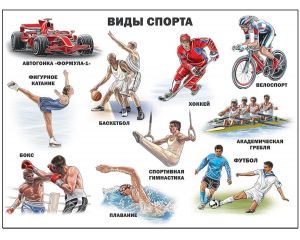 ПЛАКАТ. ВИДЫ СПОРТА