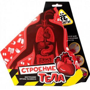 Научно-познавательный набор "Строение тела"