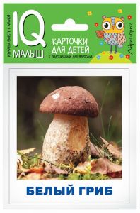 Умный малыш. Грибное лукошко. Набор карточек для детей.