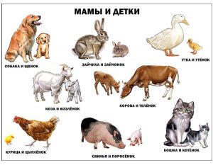 ПЛАКАТ. МАМЫ И ДЕТКИ