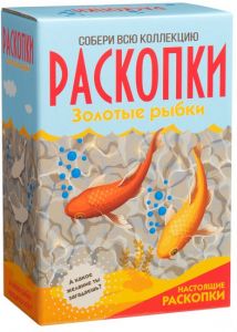 Большой набор для проведения раскопок. Золотые рыбки