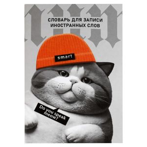 Тетрадь для записи иностранных слов КОТ В ШАПОЧКЕ 24 л.