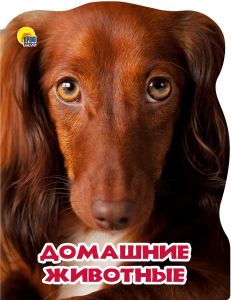 МИР ЖИВОТНЫХ. ДОМАШНИЕ ЖИВОТНЫЕ