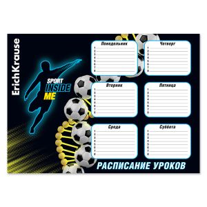 Расписание уроков ErichKrause Sport DNA, А3